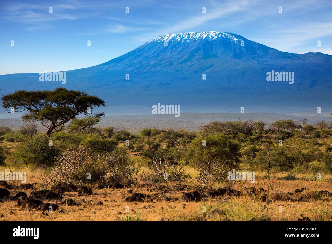 Travel to Africa Stock Photo