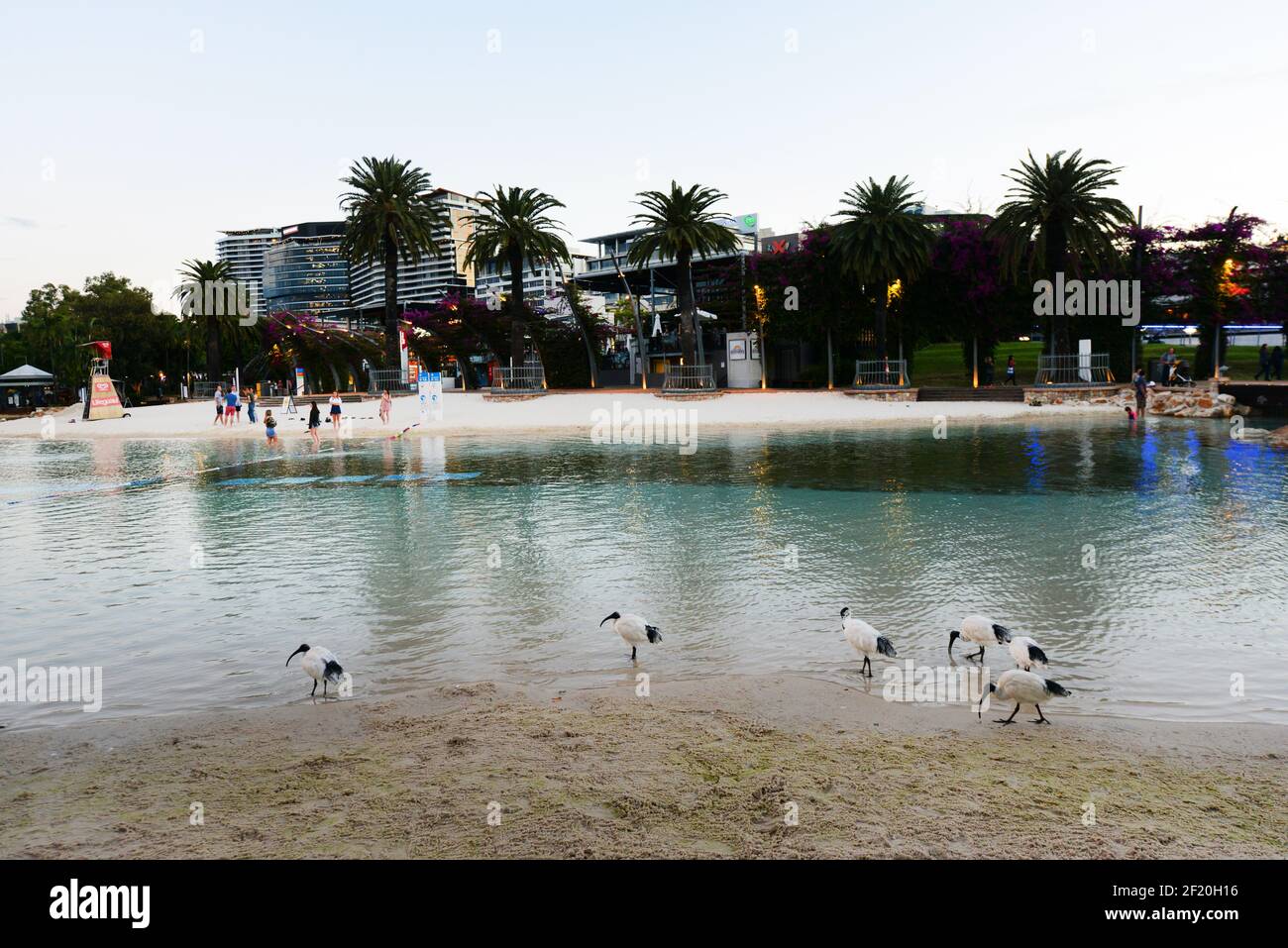The Boat pool at Stanley St Plaza, South Brisbane, Queensland, Australia. Stock Photo
