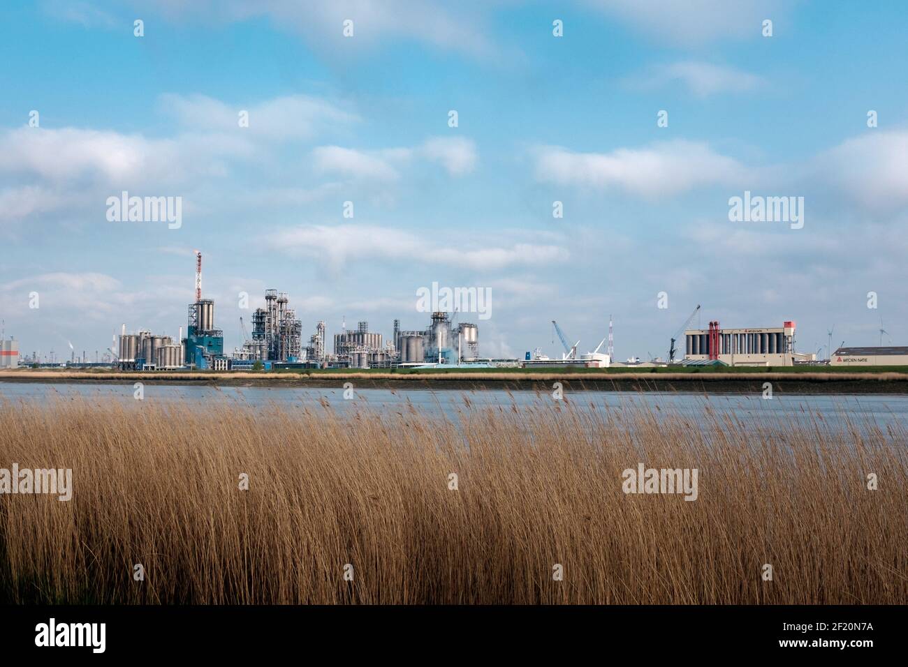 The plant of Total Polymers Antwerp NV across the river Scheldt. Stock Photo