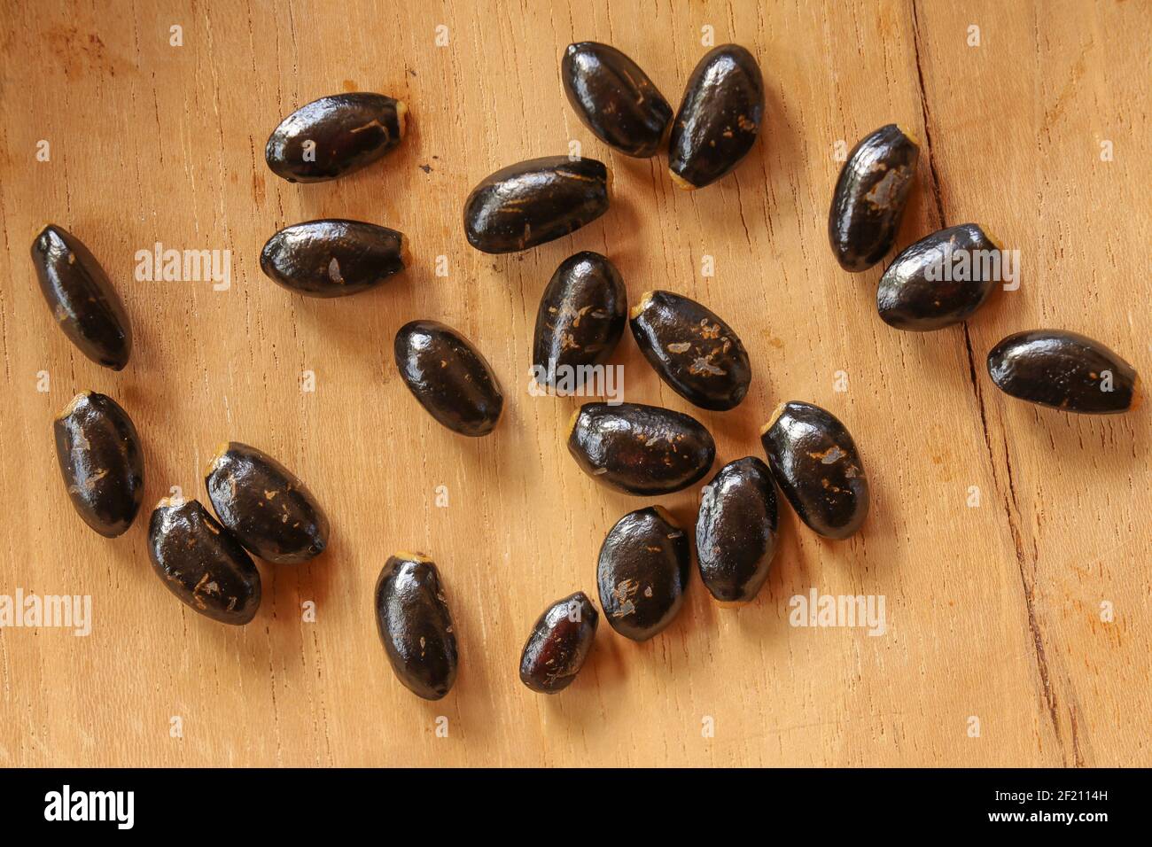 Beautiful dark brown color seeds of custard apple sugar-apple, sweetsop, custard apple, ata, aati, mati anoda, awzar thee on wooden background. Its Stock Photo