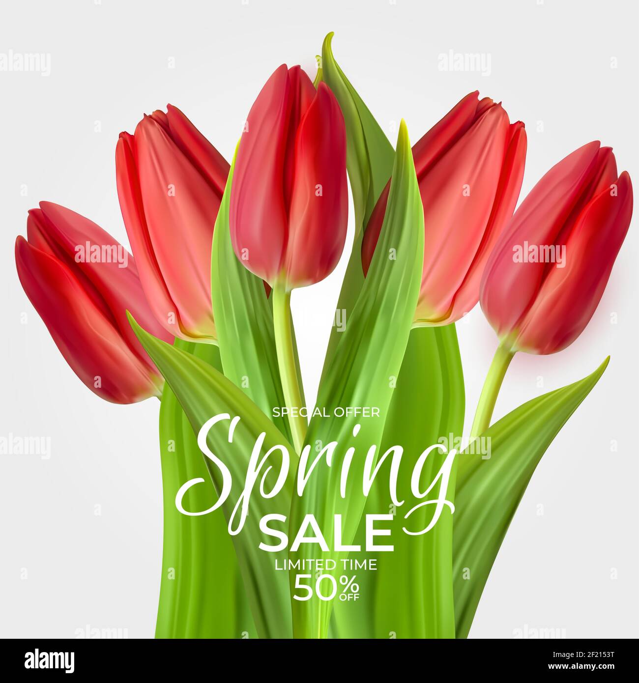 Red Tulip For Sale