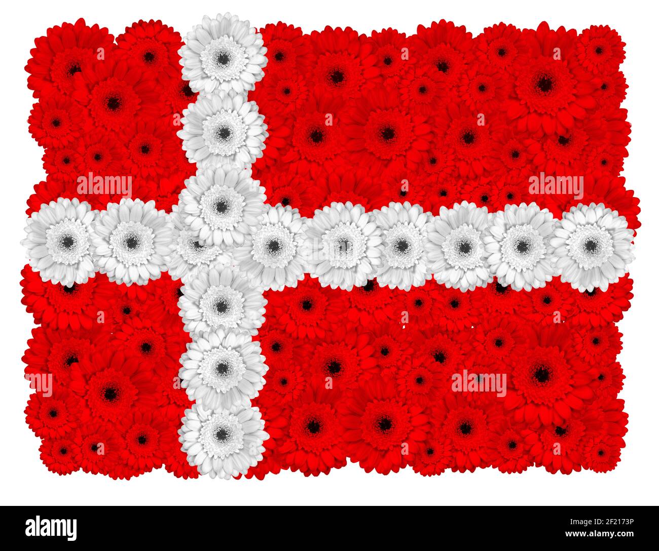 Danish flag made of gerbera flowers, isolated on white Stock Photo