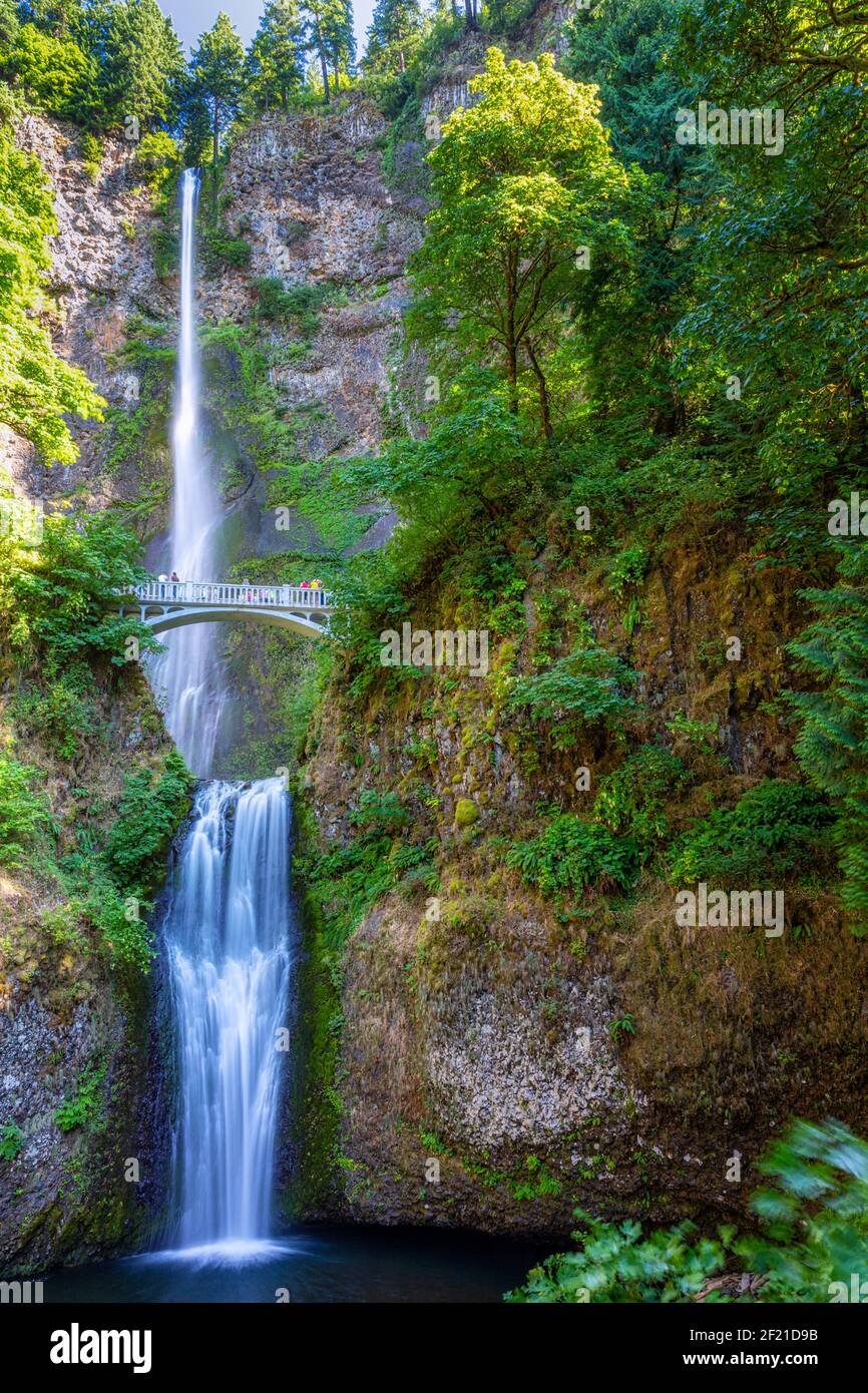 Multnomah Falls in Columbia River Gorge National Scenic Area, Oregon, USA Stock Photo