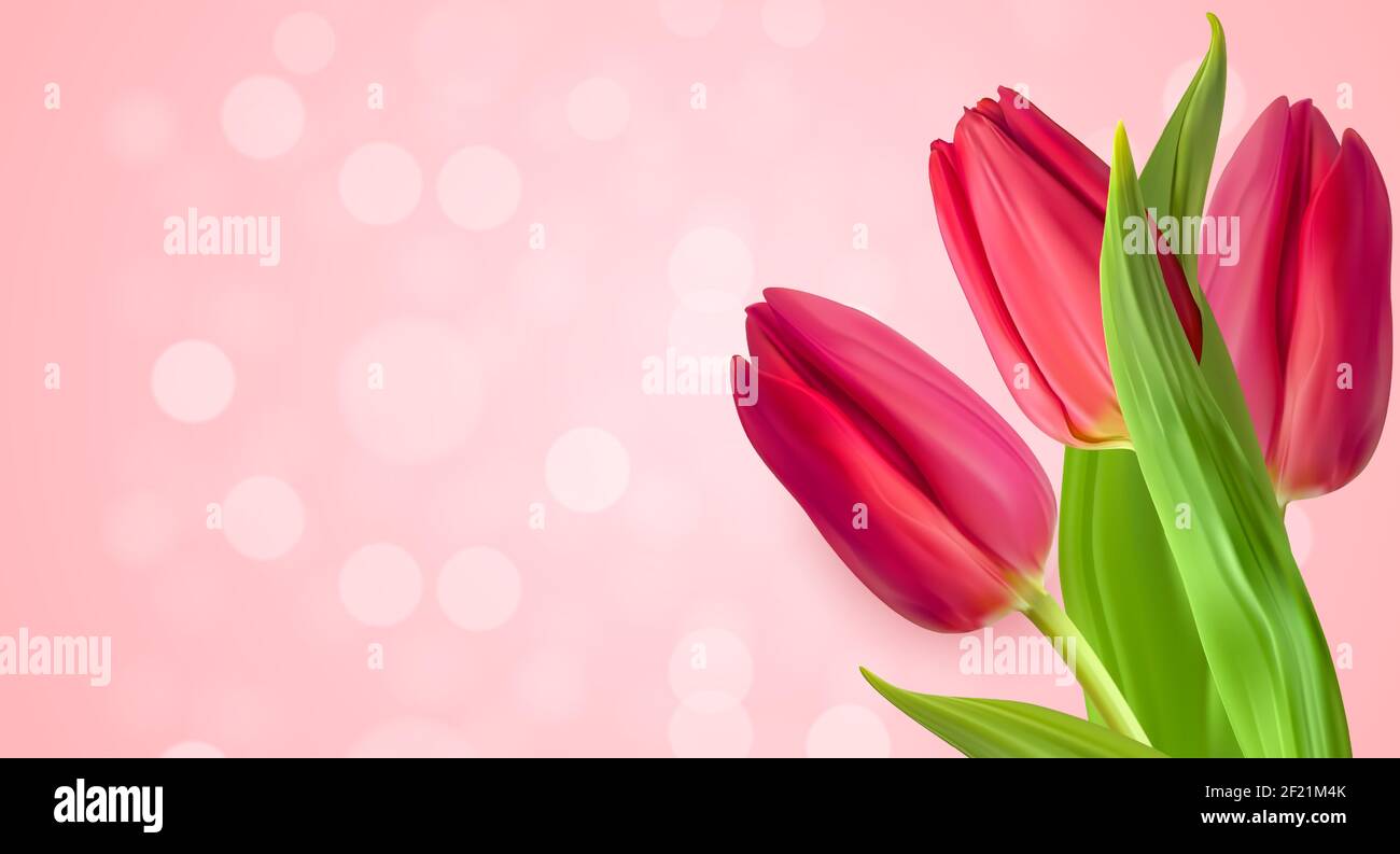 Realistic Natural Tulips Flower Background. Vector Illustration Stock Vector