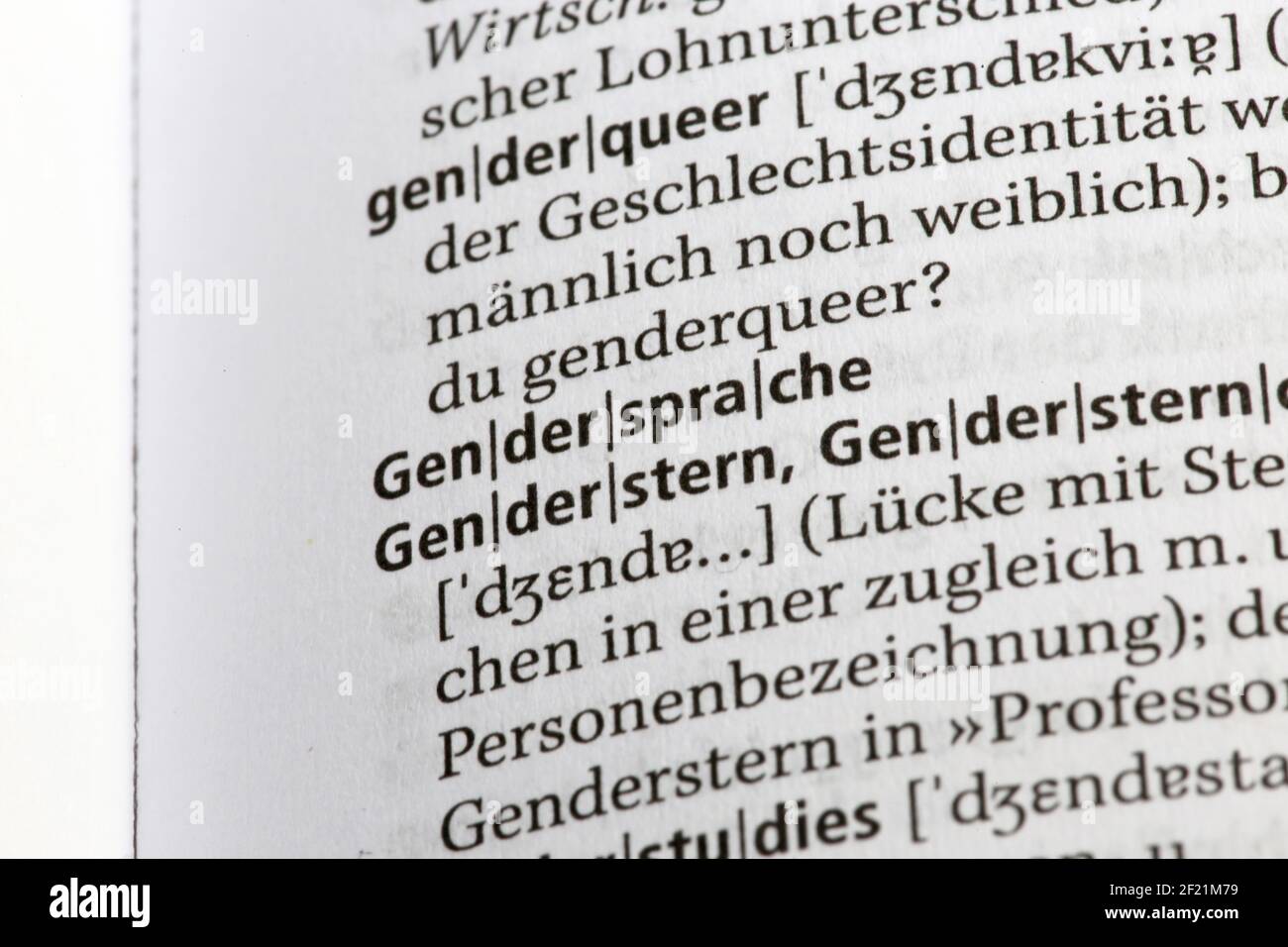 Symbol image for the gender debate in Germany, excerpt from the 28th edition of the Duden dictionary (Germany) Stock Photo
