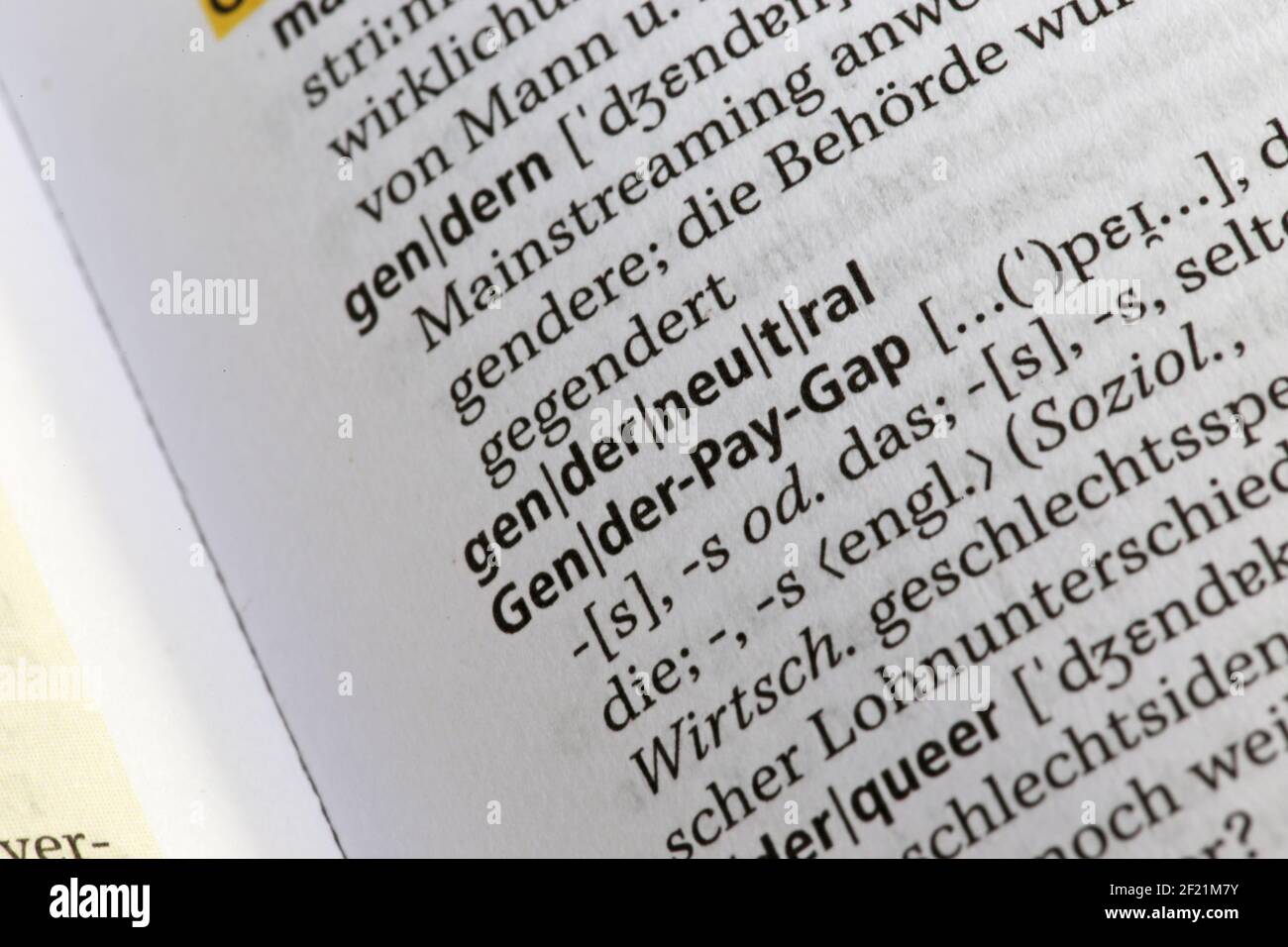 Symbol image for the gender debate in Germany, excerpt from the 28th edition of the Duden dictionary (Germany) Stock Photo