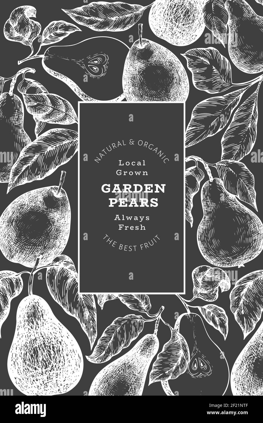 Pear Layout Pear design template. Hand drawn vector garden fruit illustration on ...