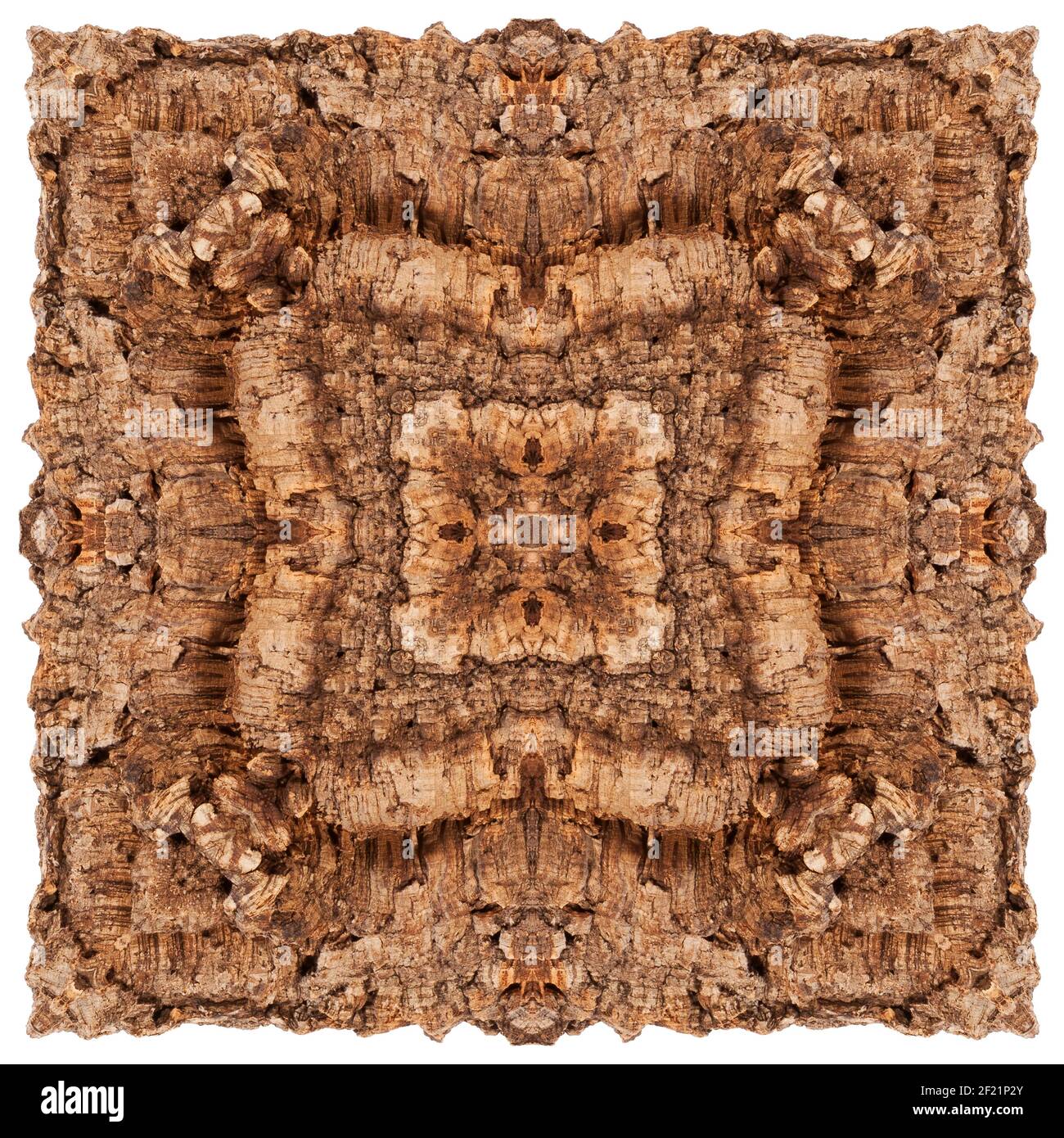 Cork tree Cut Out Stock Images & Pictures - Alamy