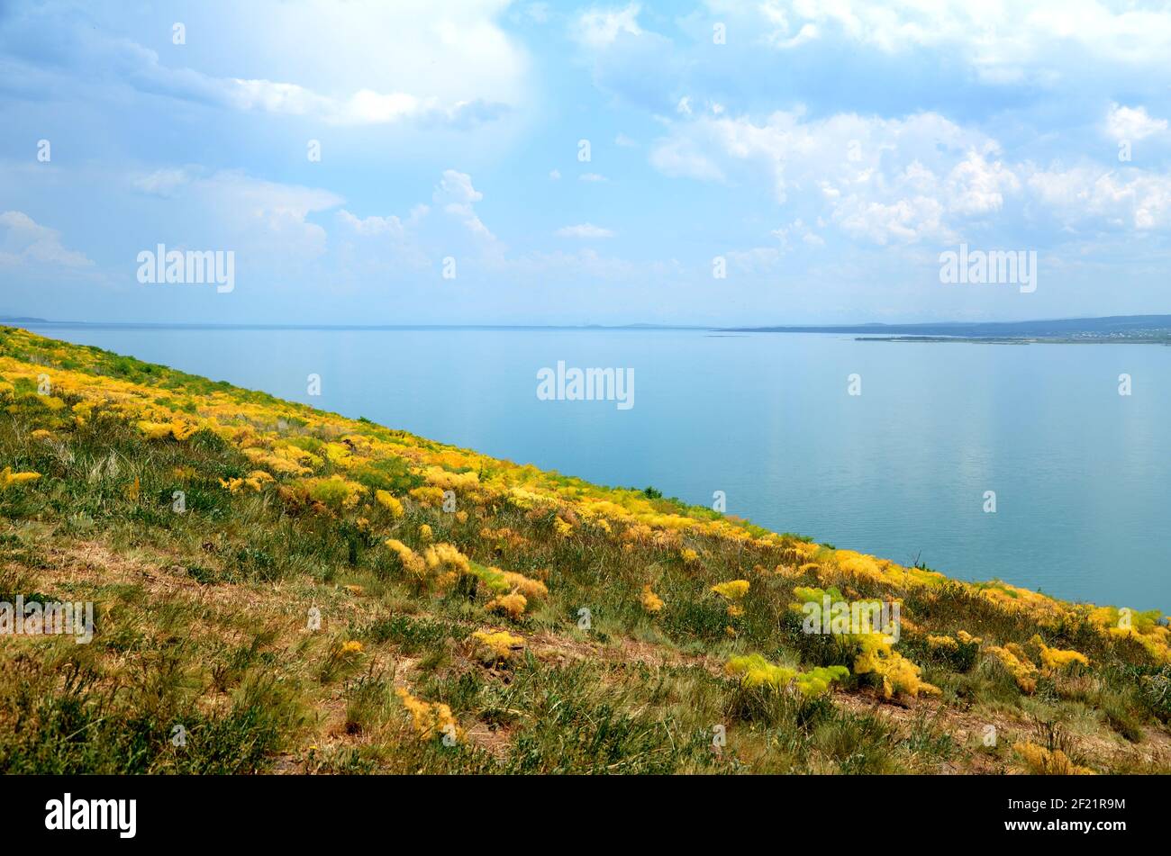 beautiful shore of Lake Sevan, Armenia Stock Photo - Alamy