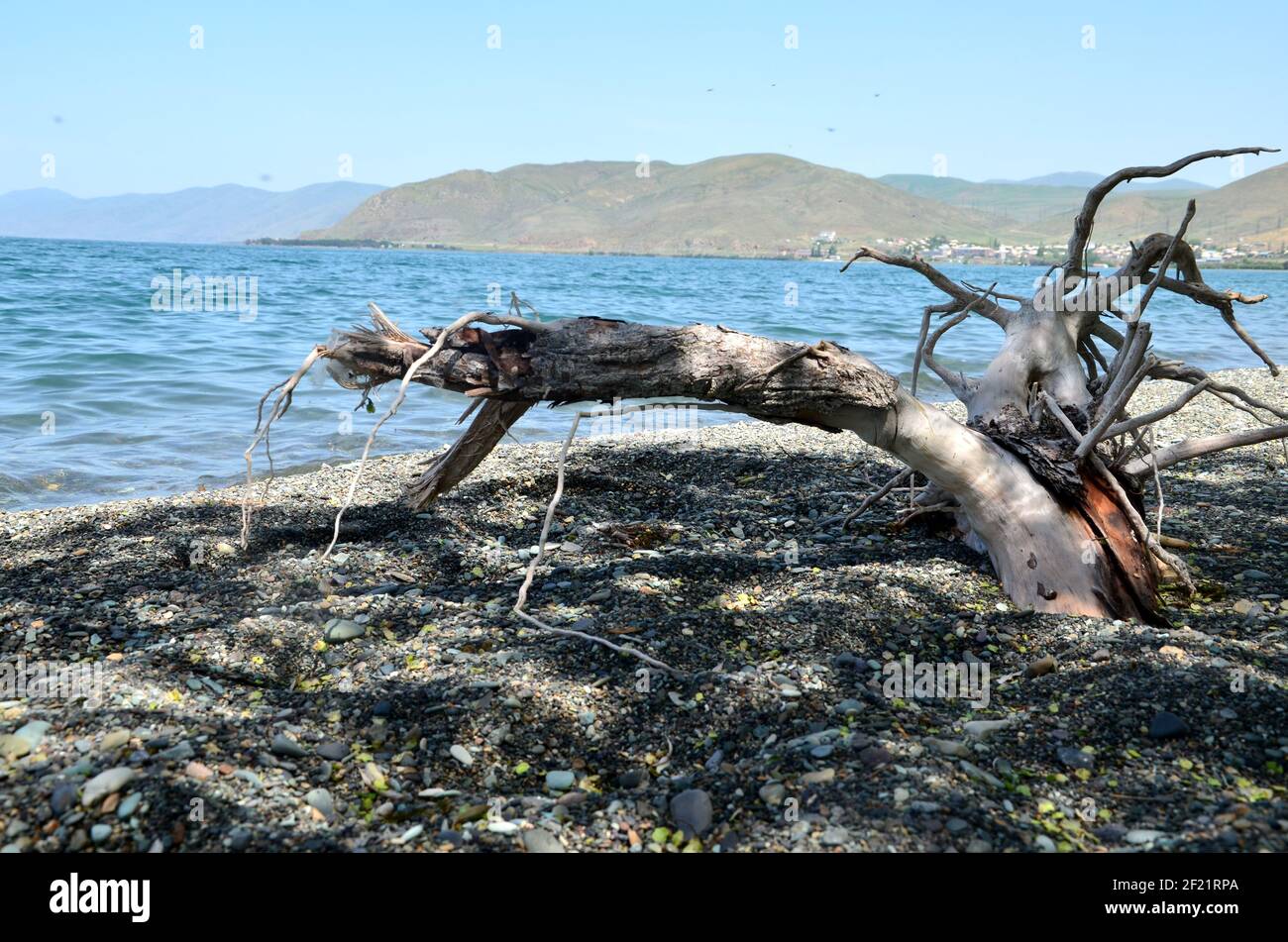 beautiful shore of Lake Sevan, Armenia Stock Photo - Alamy