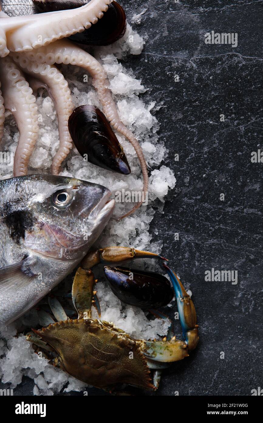 raw seafood cocktail, dorado, blue crab and cuttlefish on ice Stock