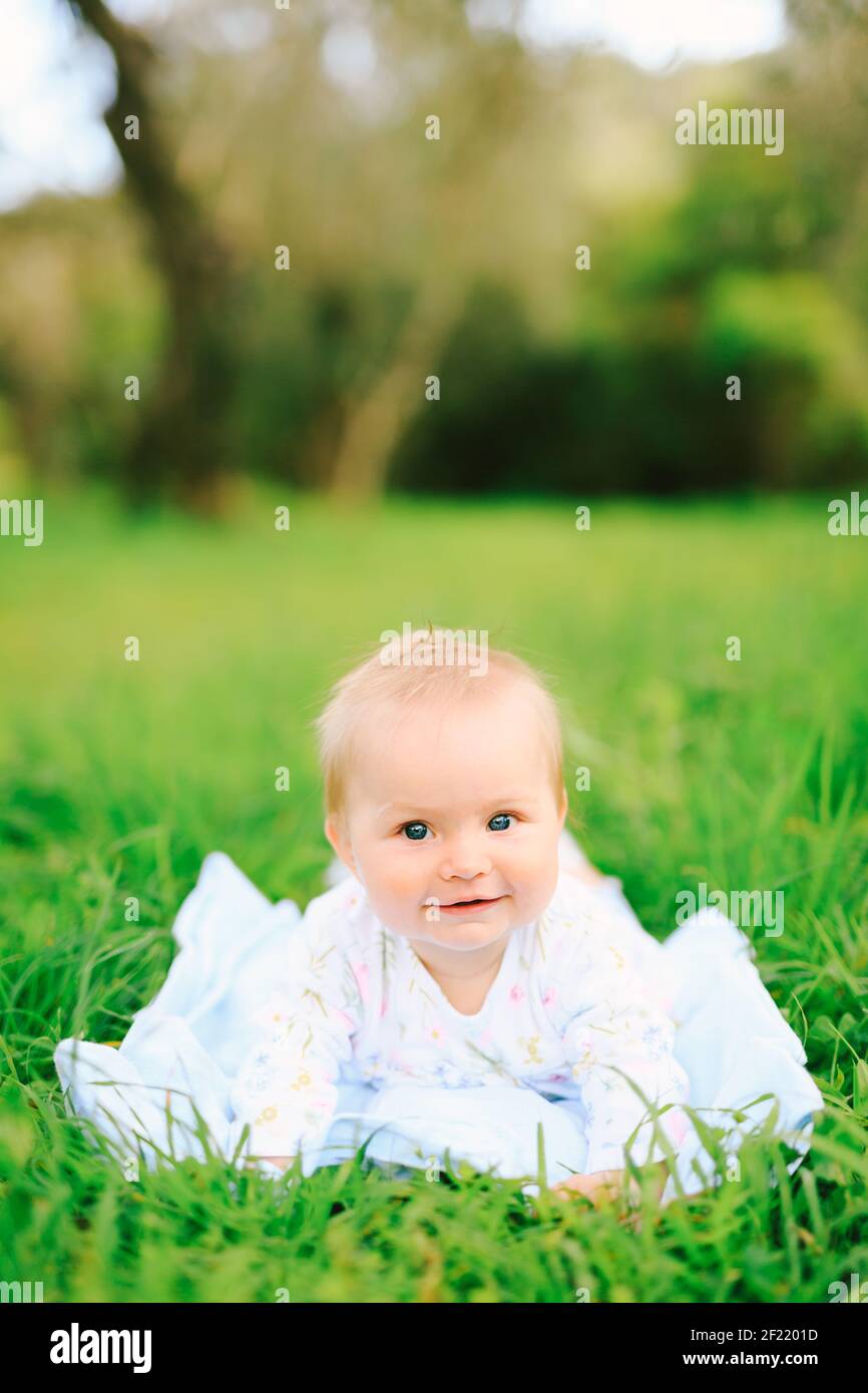 Portrait of an adorable baby girl lying on the grass in the park Stock ...