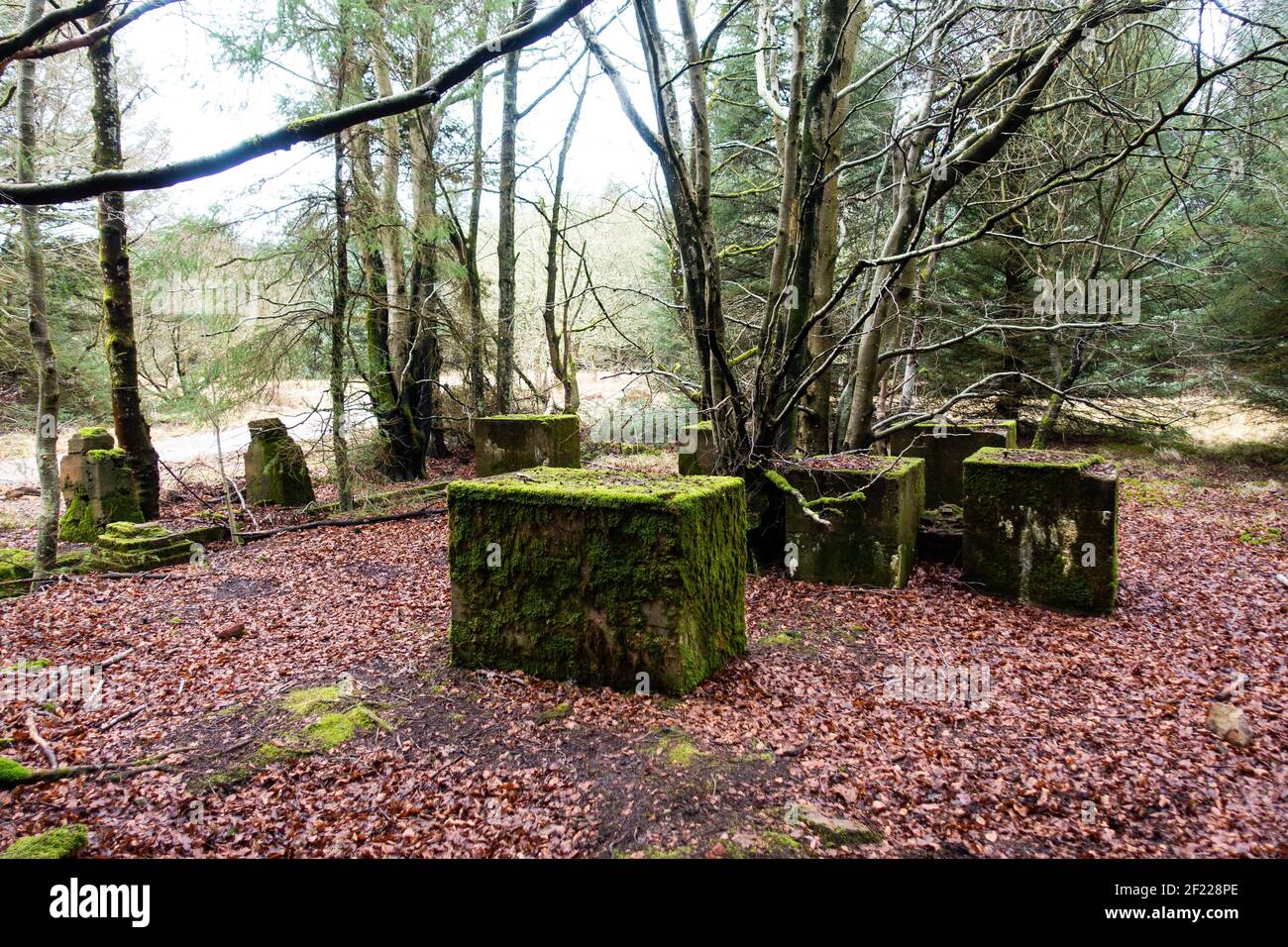 Old concrete airship moorings at the site of Longside Naval Airship Station, built in 1915, at Lenabo Woods near Longside, Aberdeenshire, Scotland Stock Photo