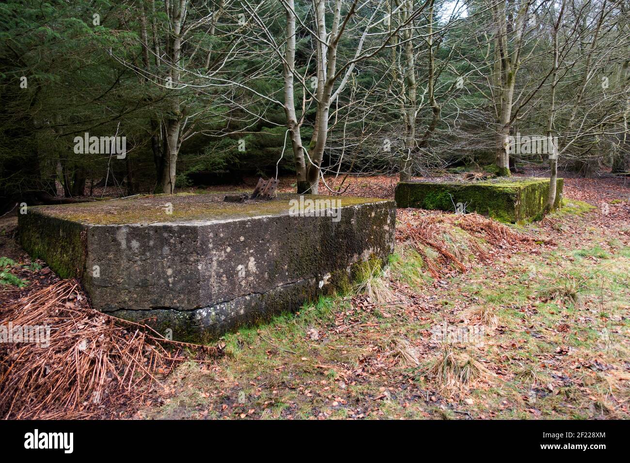 Old concrete airship moorings at the site of Longside Naval Airship Station, built in 1915, at Lenabo Woods near Longside, Aberdeenshire, Scotland Stock Photo