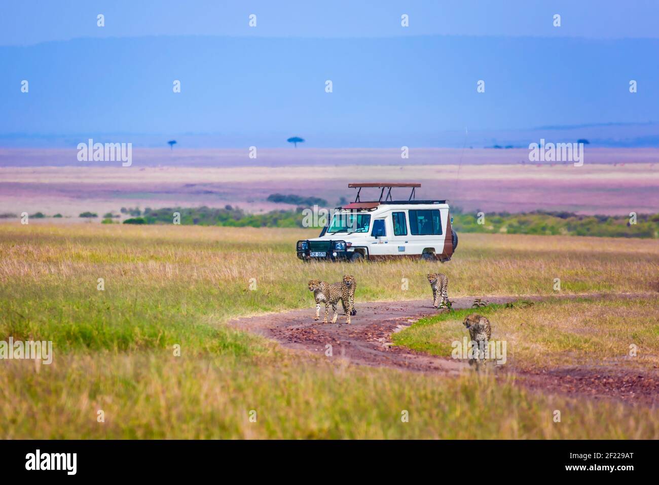 Family tourist adventure hi-res stock photography and images - Alamy
