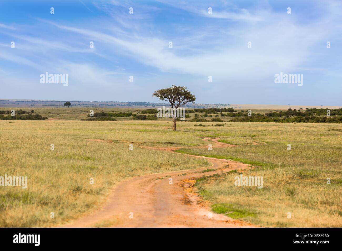 African savannah at sunset Stock Photo - Alamy