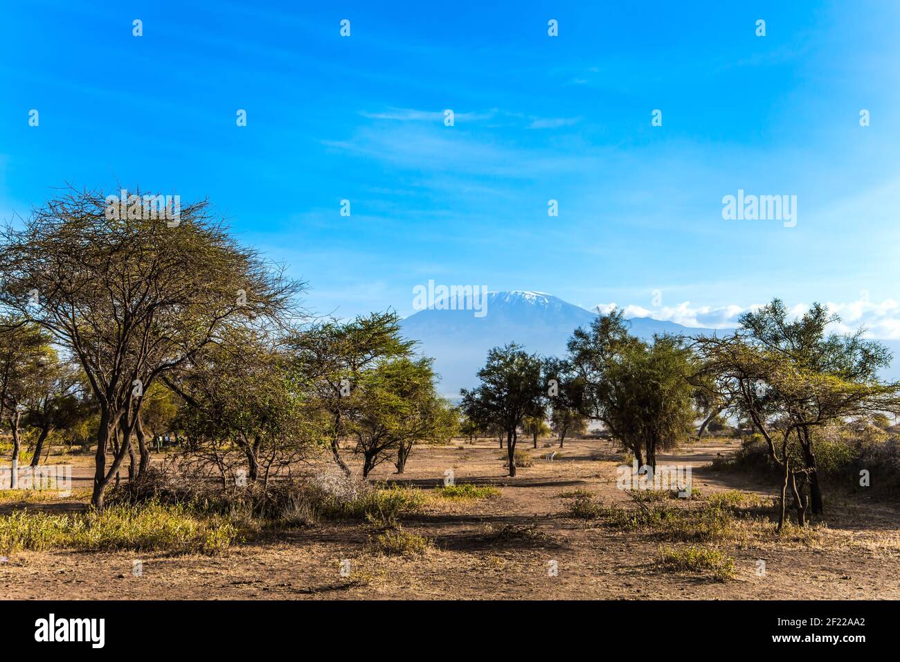 Savanna african savanna parks of kenya hires stock photography and