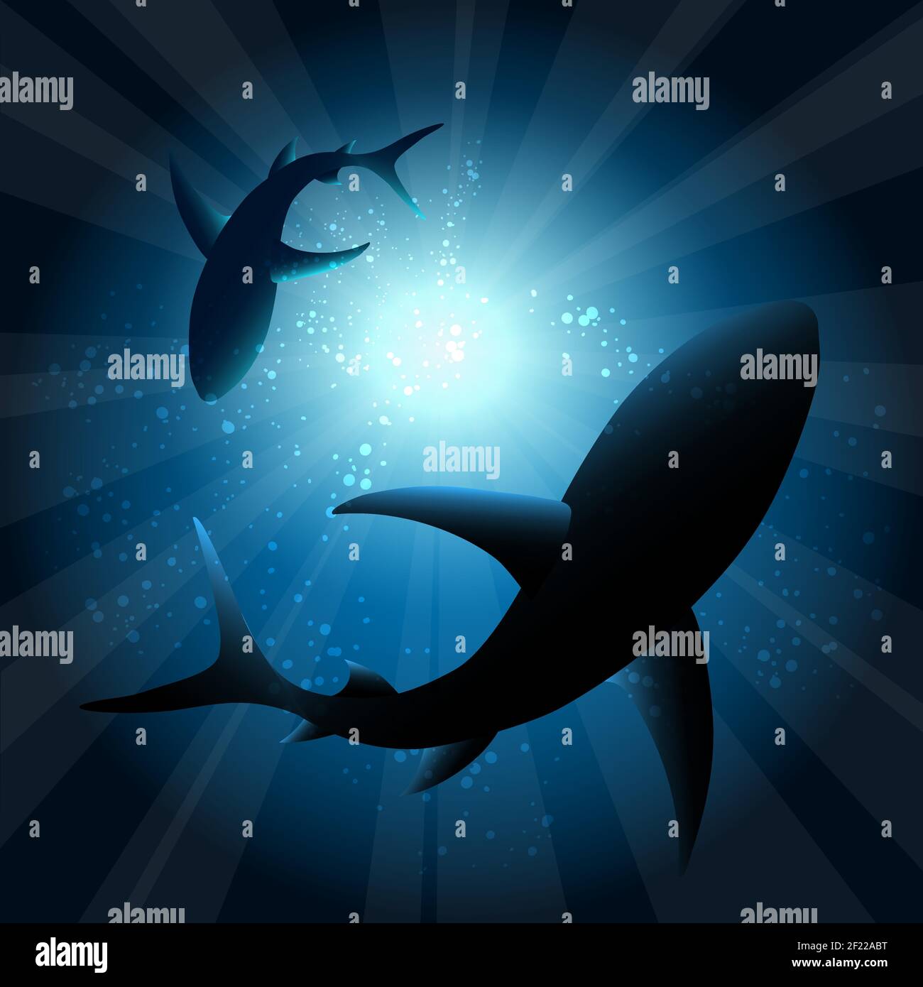 Sharks under water. Fish in ocean, animal nature life, swimming wildlife, vector illustration Stock Vector