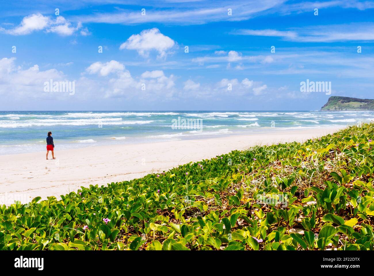 Beautiful woman byron bay hi-res stock photography and images - Alamy