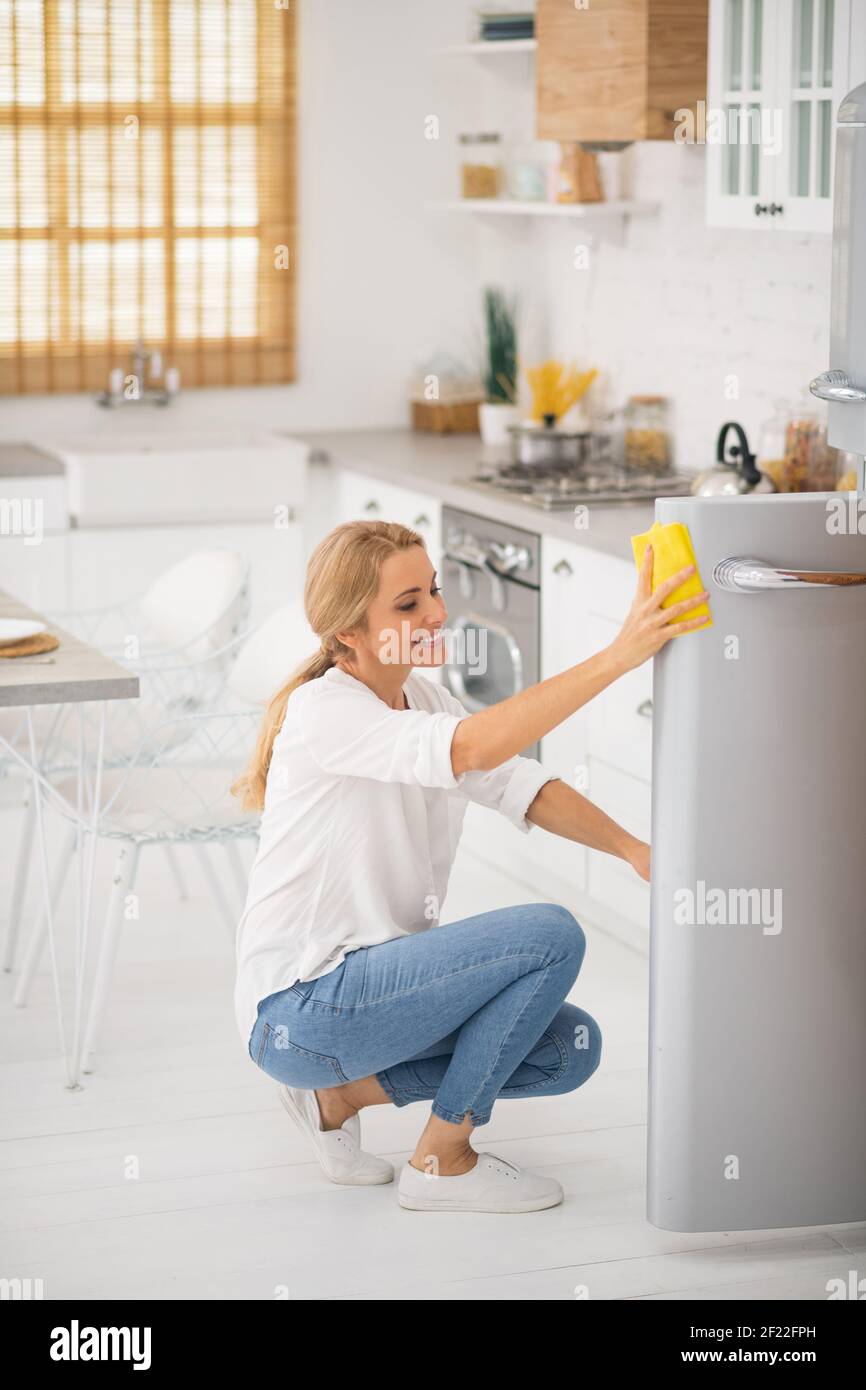 Blonde cute housewife cleaning hi-res stock photography and images - Alamy
