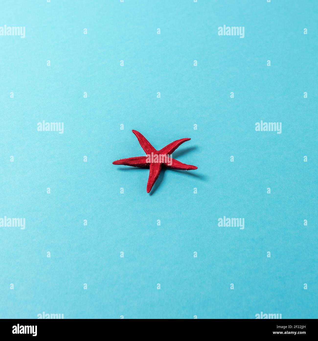 Creative composition with red starfish on bright background. Summer minimal concept. Stock Photo