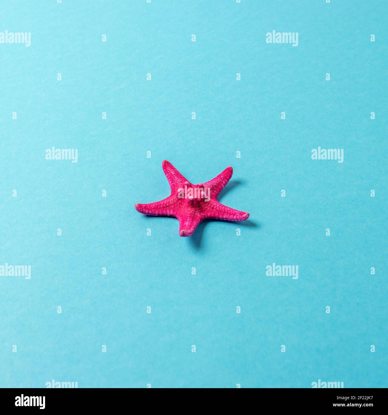 Creative composition with red starfish on bright background. Summer minimal concept. Stock Photo