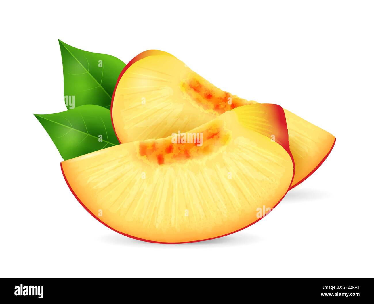 Peach fruit exotic fruits collection, realistic design vector
