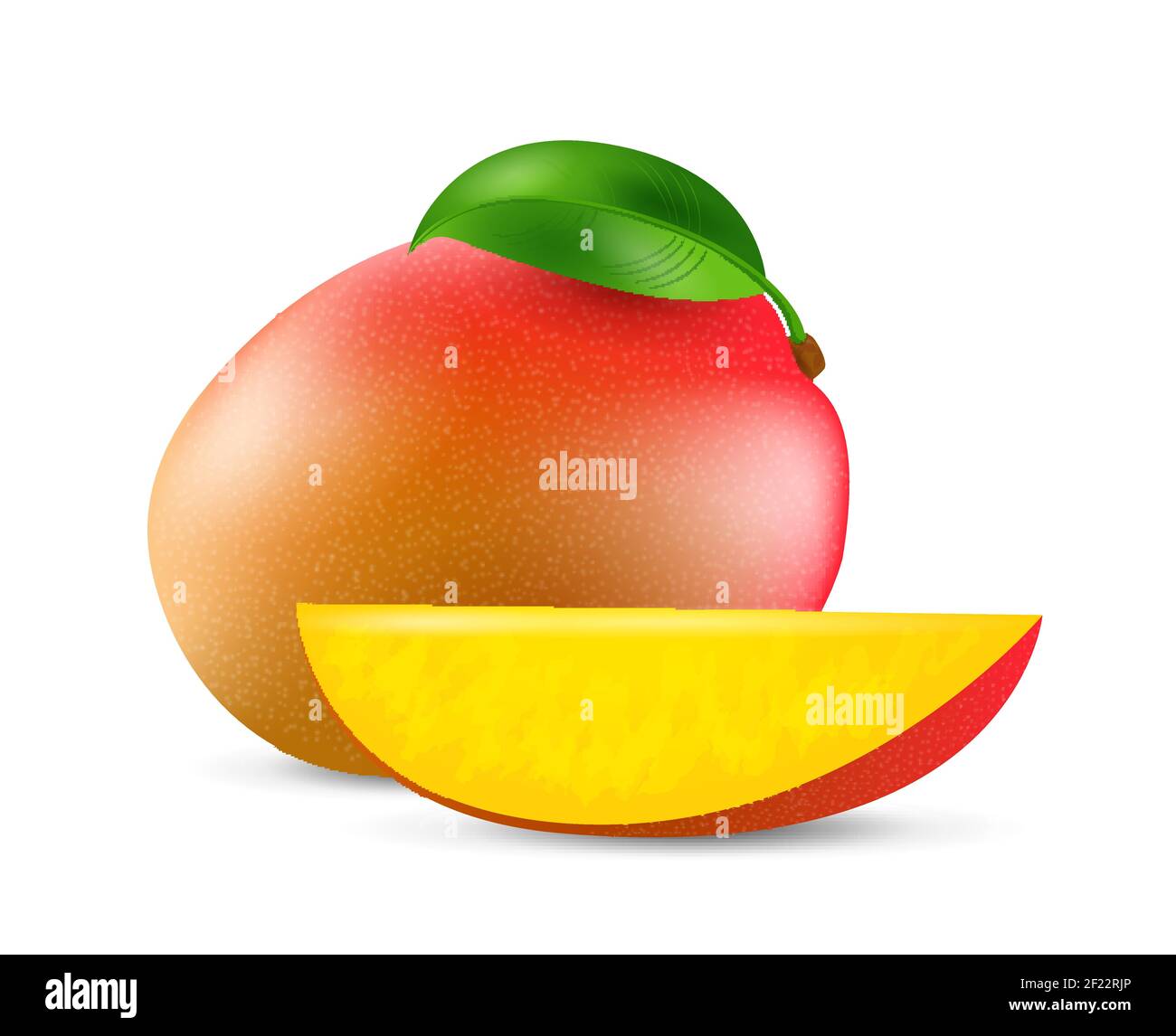 Mango fruit - exotic fruits collection, realistic design vector illustration close-up Stock Vector