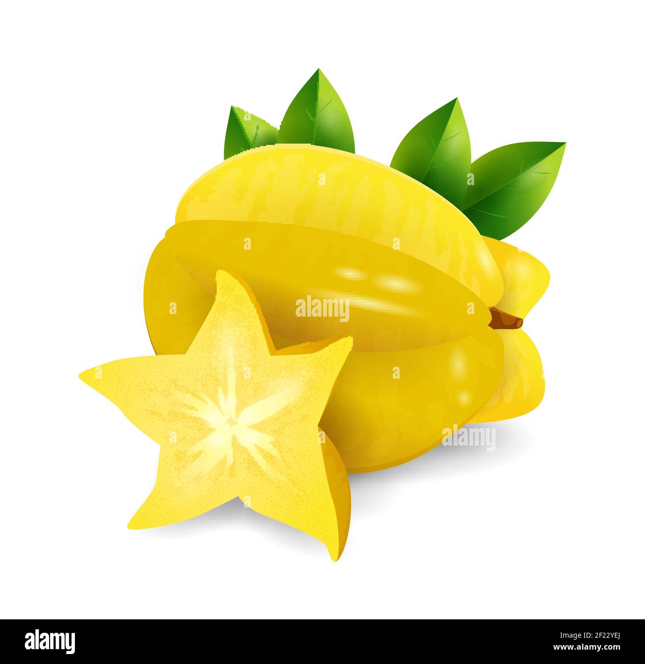 Carambola fruit - exotic fruits collection, realistic design vector ...