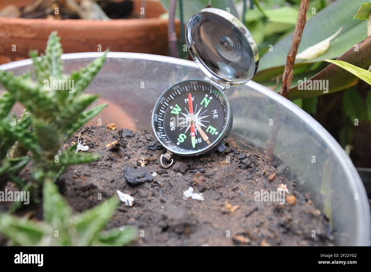 Compass. Compass in flower garden of residence, with several plants in pots of different sizes in zoom with selective focus in zoom , Brazil, South Am Stock Photo