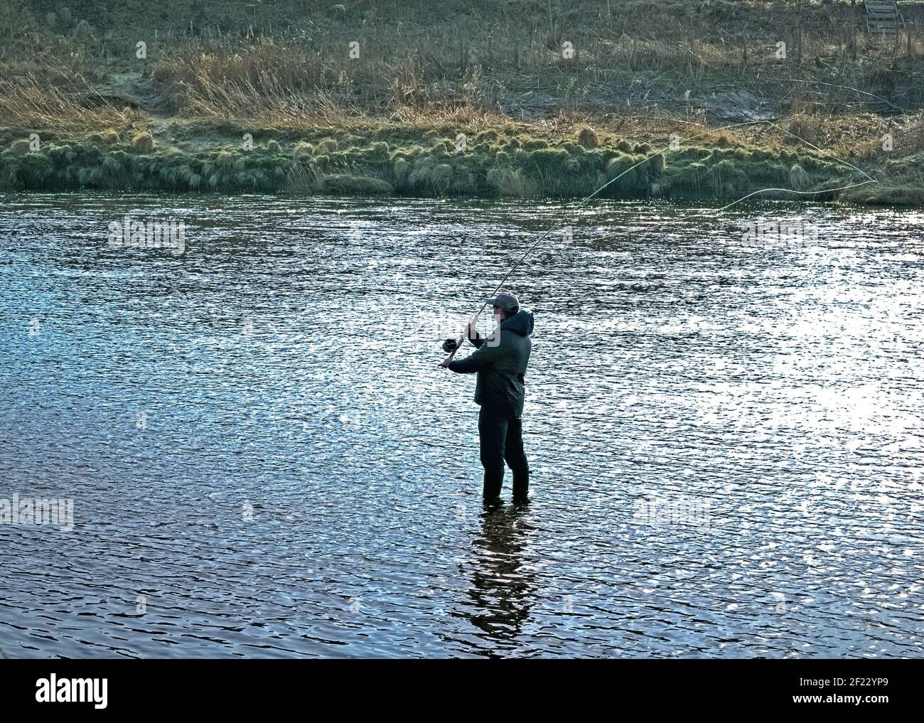 Salmon fisherman on the river Dee casting his fly Stock Photo