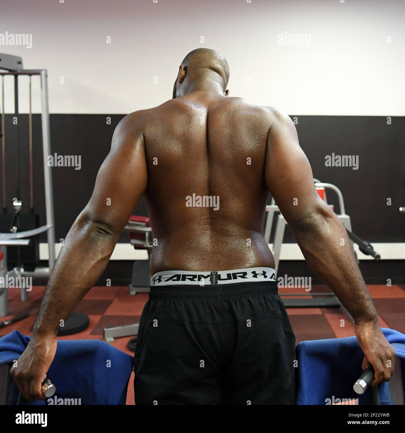 Teddy Riner Back Patch Teddy riner hi-res stock photography and images - Alamy
