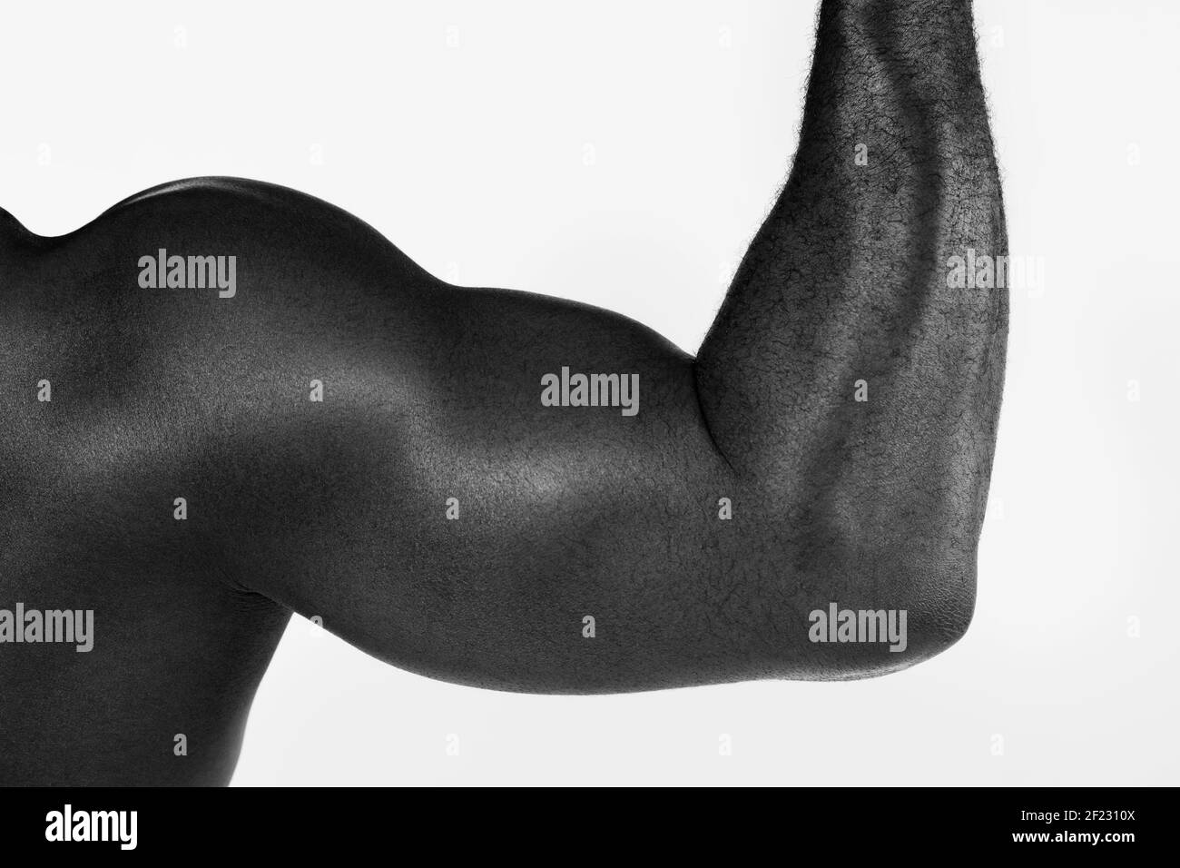 Anatomy of Teddy Riner's body (Biceps), 142kg, 2,03m, Insep, October 10, 2017, Photo Philippe Millereau / KMSP / DPPI Stock Photo