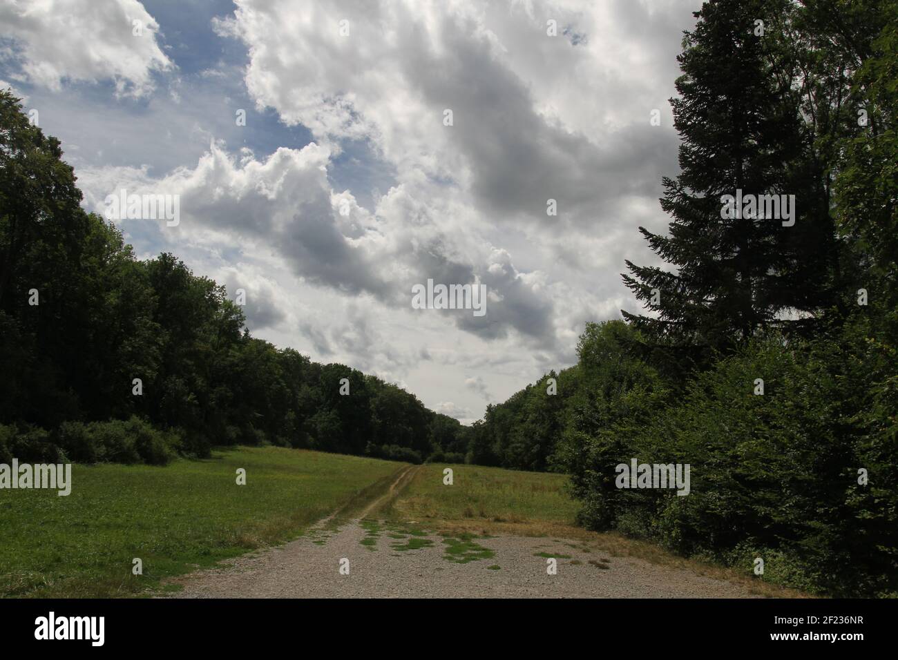 Stuttgart Weilimdorf High Resolution Stock Photography And Images Alamy