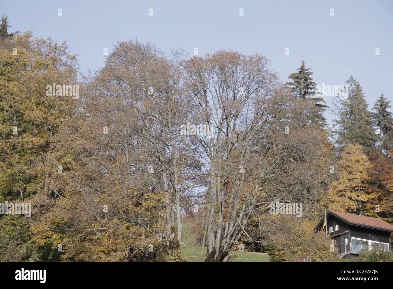 Stuttgart Weilimdorf High Resolution Stock Photography And Images Alamy