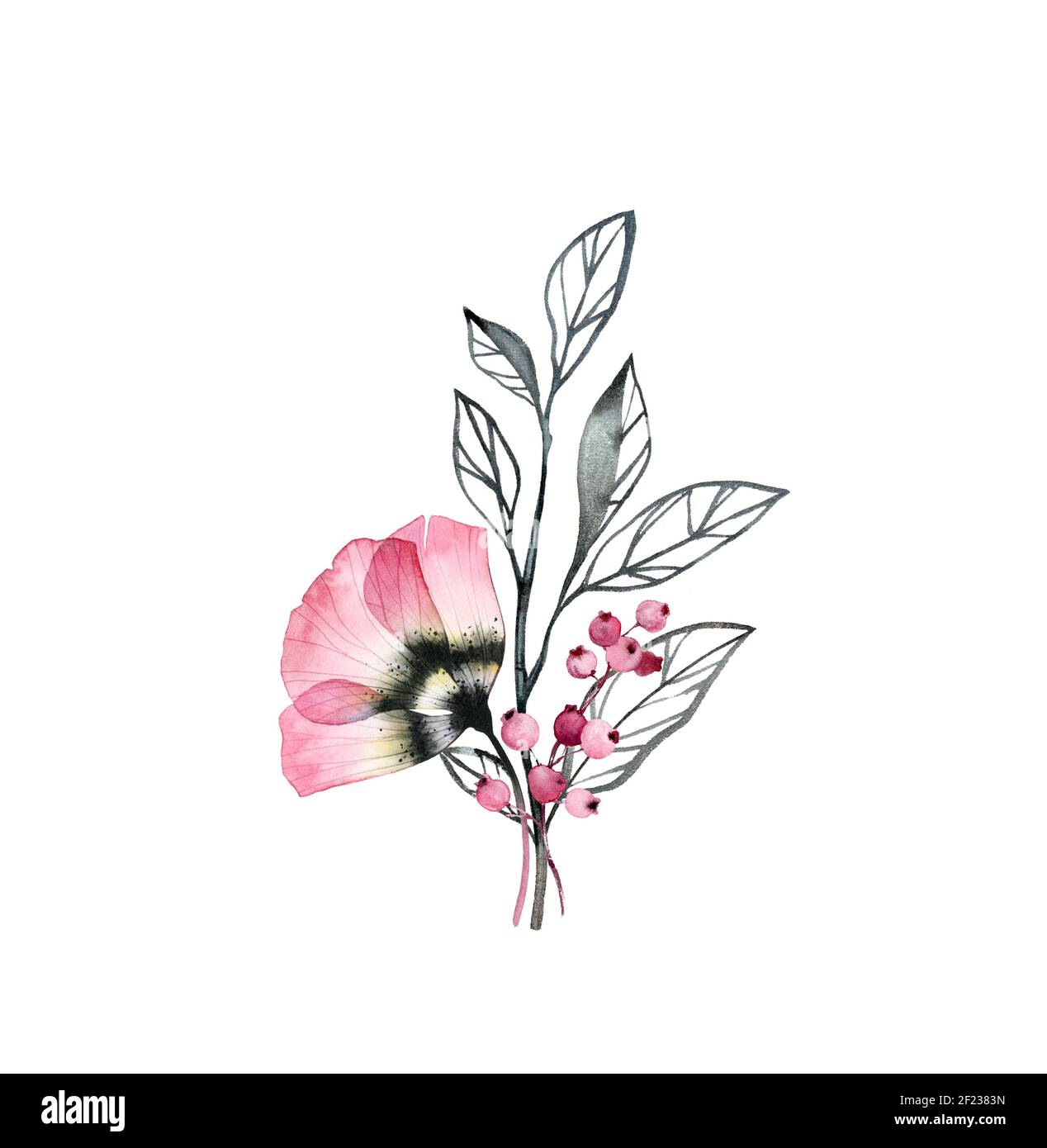 Watercolor anemone bouquet. Rose pink flower with leaves and red berries isolated on white. Hand painted ink floral artwork with detailed petals Stock Photo