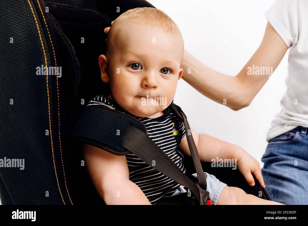 Mom straps her little baby in the car seat, baby in the car seat, on an isolated white