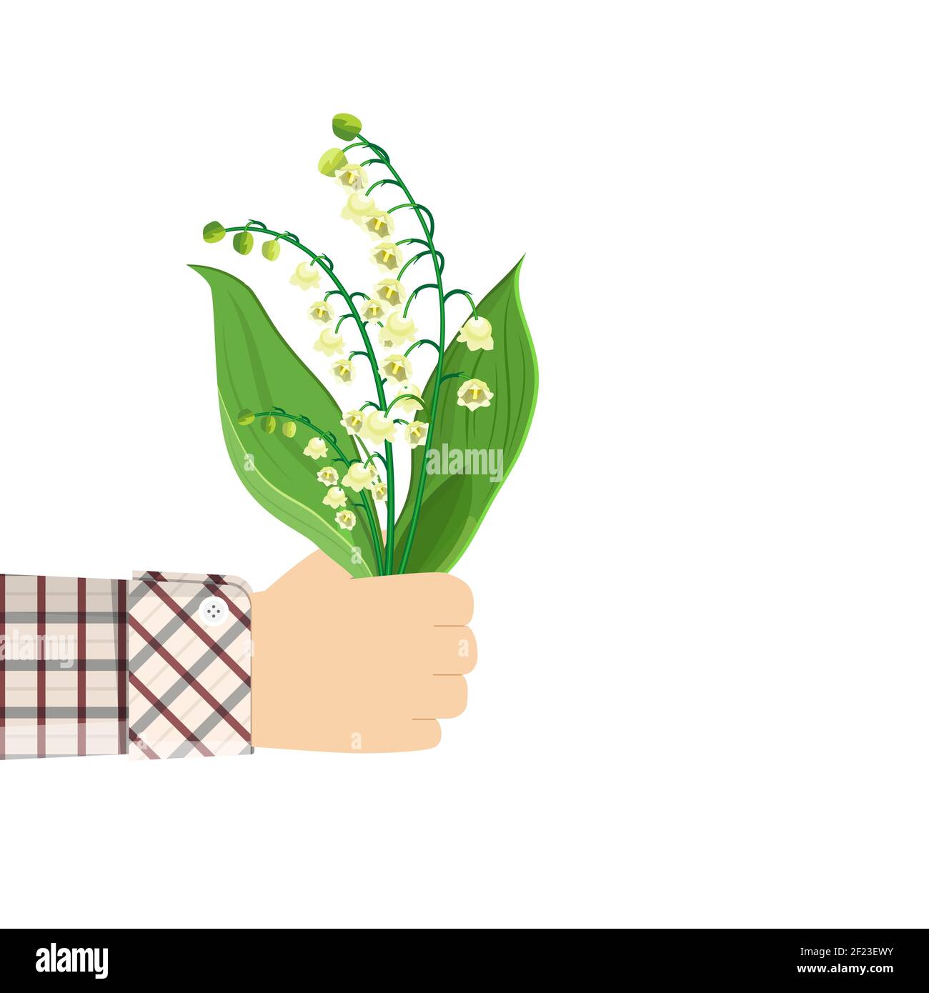 Man holding in hand Lily Of The Valley Stock Vector