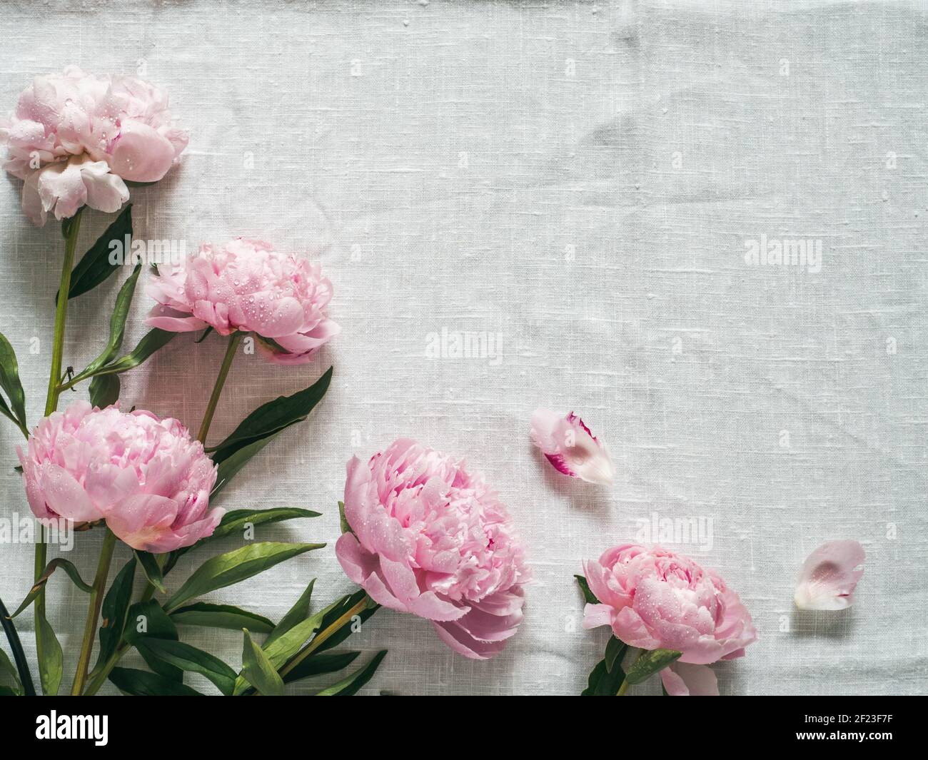 Peony bouquet on white tablecloth Stock Photo