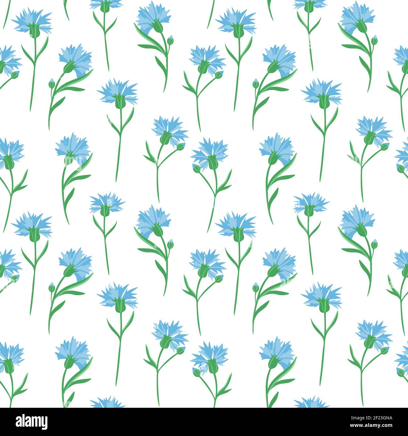 Seamless background with cornflowers. Vector. Delicate solid floral pattern. Blue little wildflowers. Stock Vector