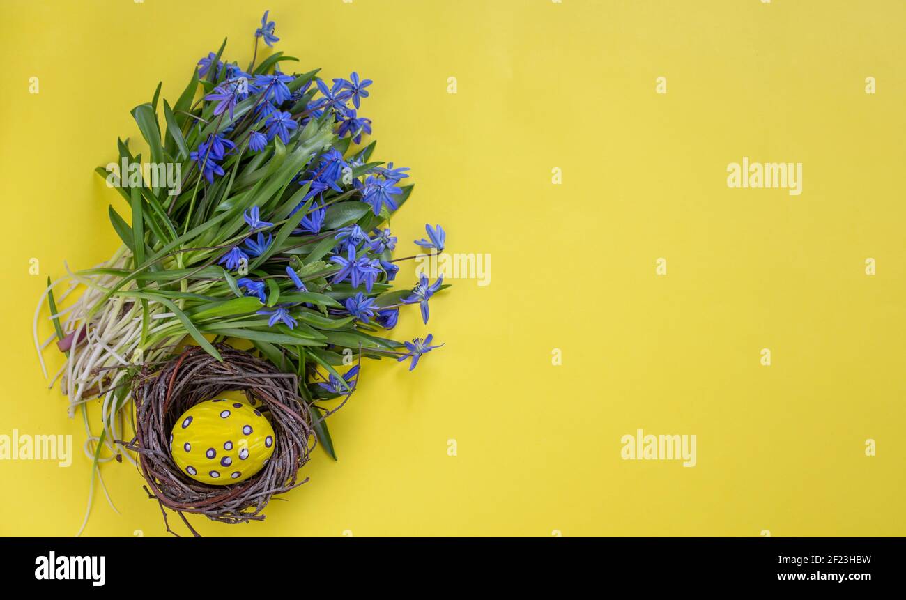 Easter background. Easter flowers. Easter eggs. Happy Easter card. Multicolored Easter eggs. Stock Photo