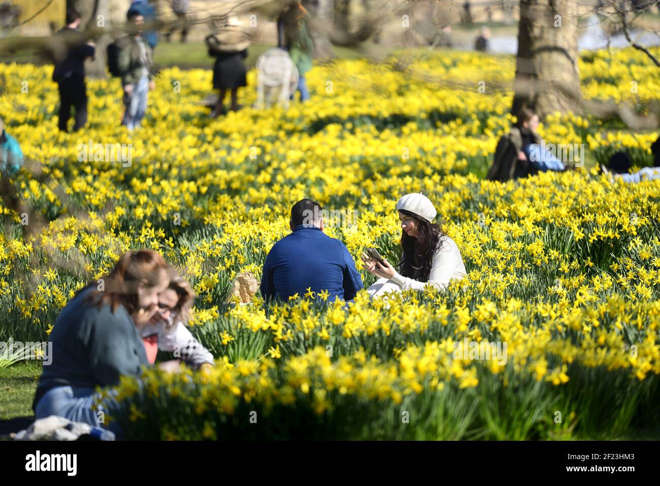 London, England, UK. St James's Park - people among the daffodils enjoying the sun in March 2021 Stock Photo