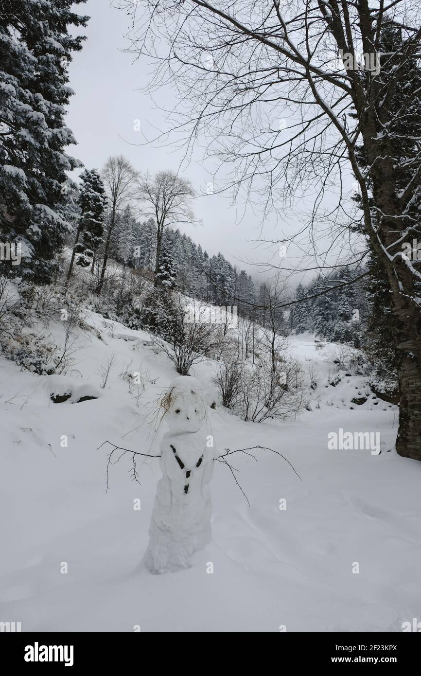 Snow landscapes from Maçka district of trabzon province Stock Photo
