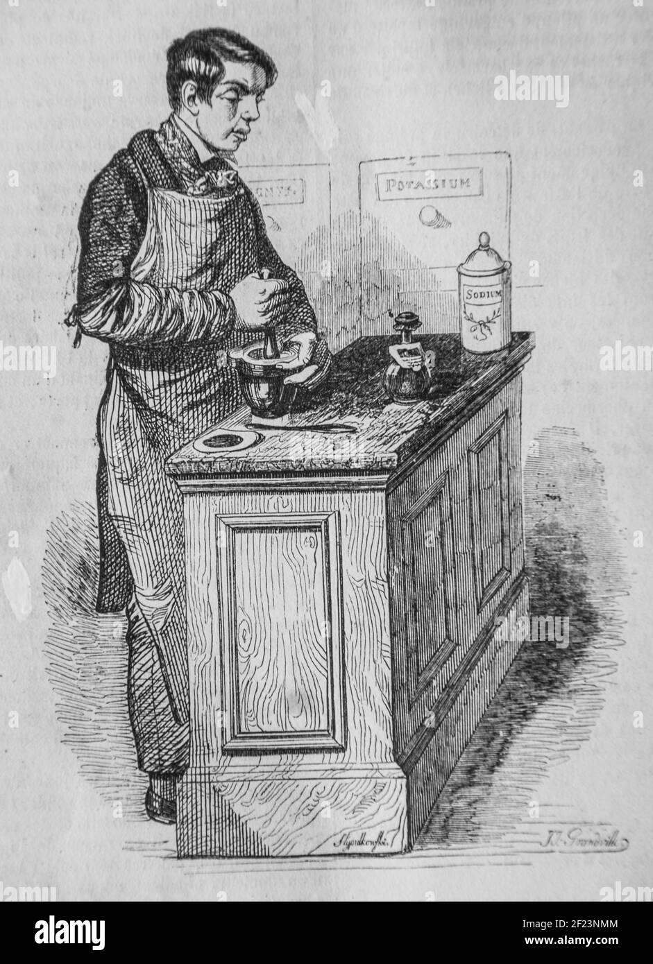 le pharmacien, les français peints par eux-memes,eiteur n.j. philippart 1861 Stock Photo