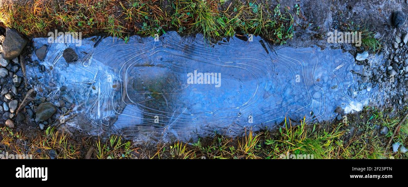 Thin sheet of salmon-shaped ice in Oregon Cascades mountain meadow reflects the blue sky. Stock Photo
