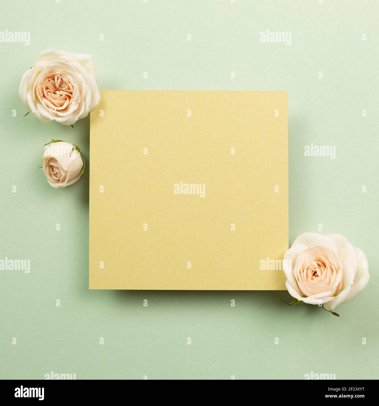 Yellow memo pad with rose flowers on green background. top view, copy