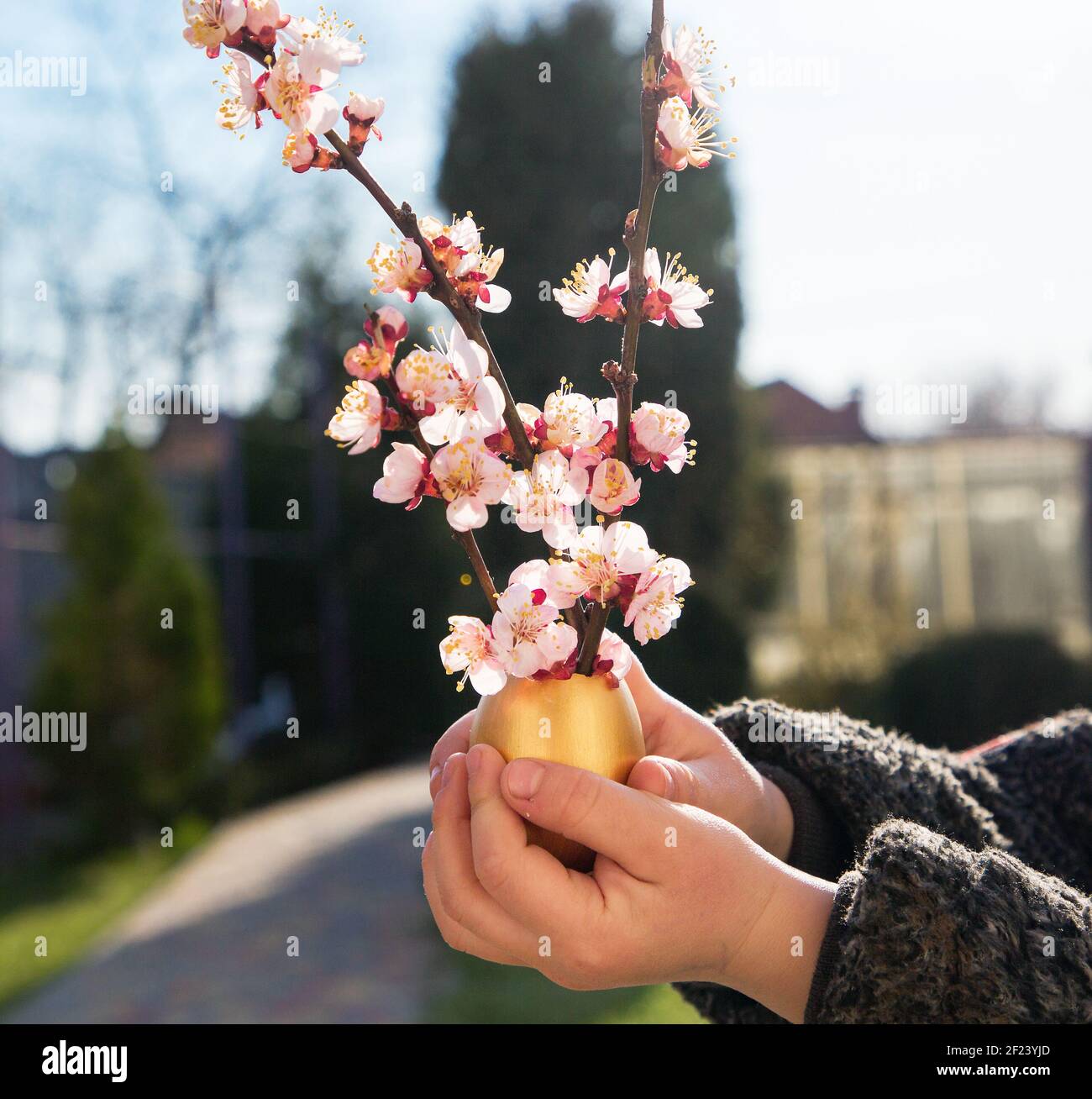 Children's hands hold blooming pink twigs, in an egg golden shell, illuminated by sunlight. Tenderness, calm, gratitude, harmony of nature. Blooming s Stock Photo
