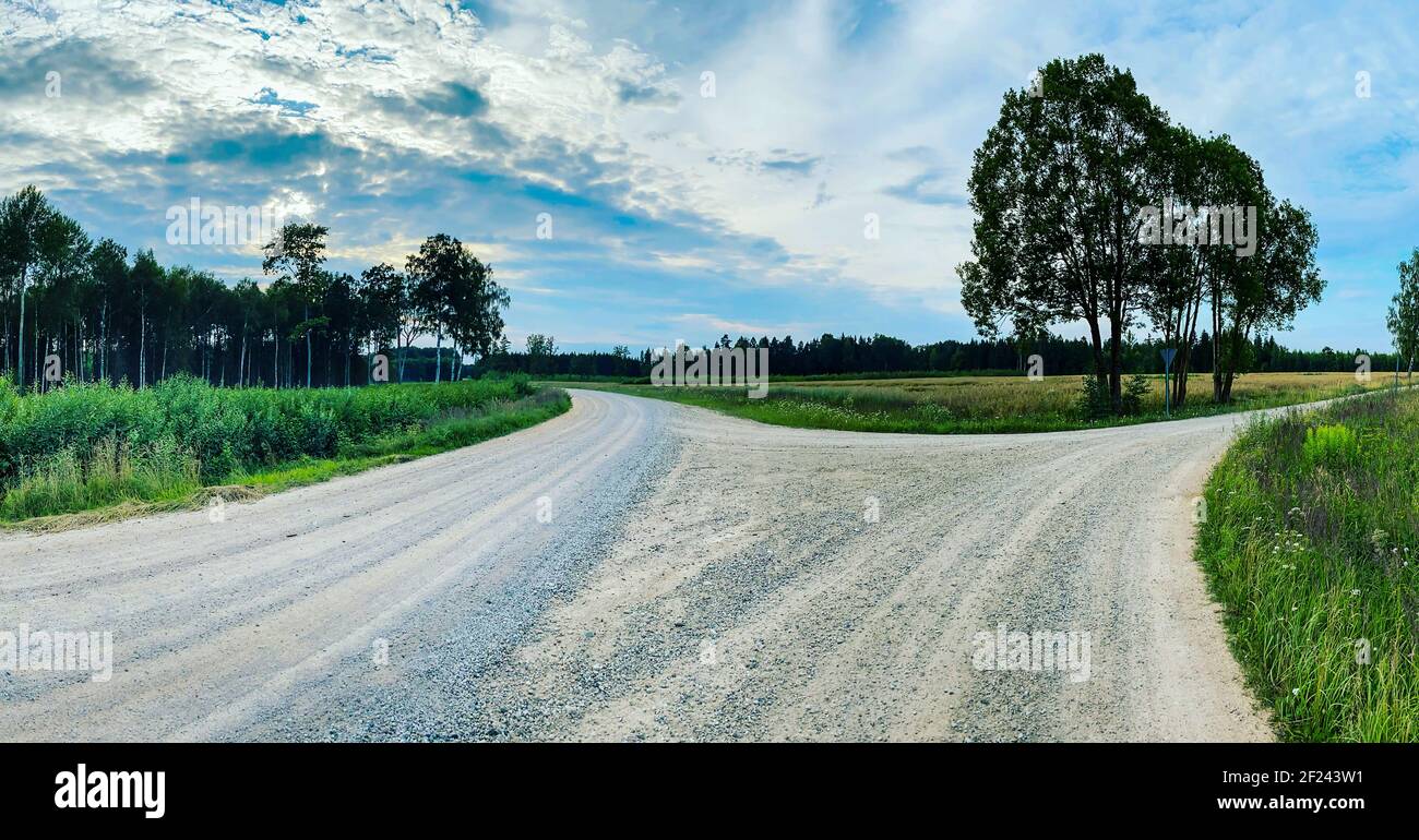 Straight tree hi-res stock photography and images - Alamy