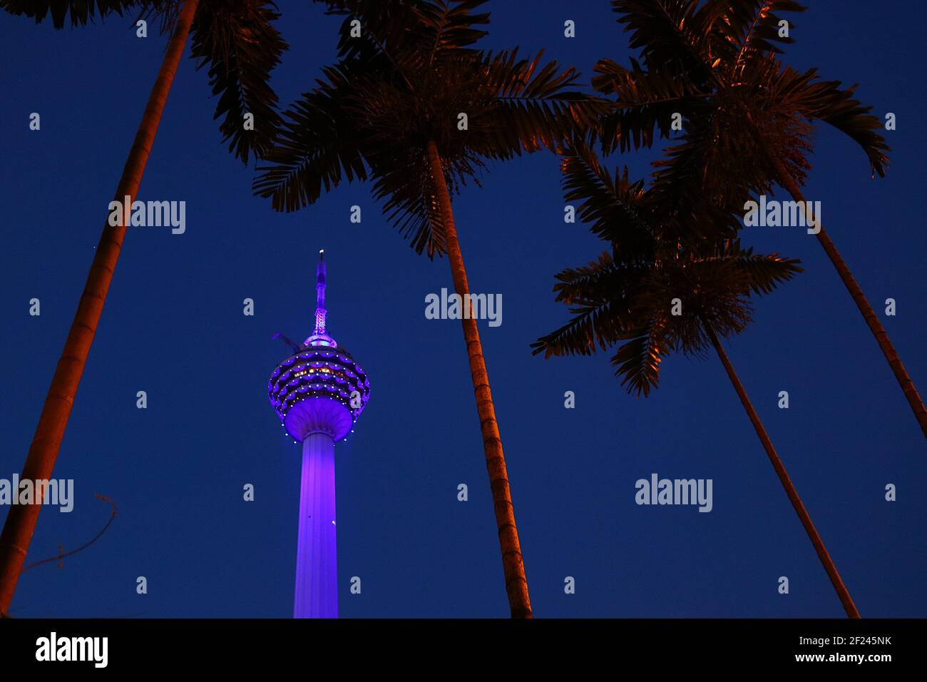 KL Tower At Night The Kuala Lumpur Tower illuminated in purple light with palm trees Stock