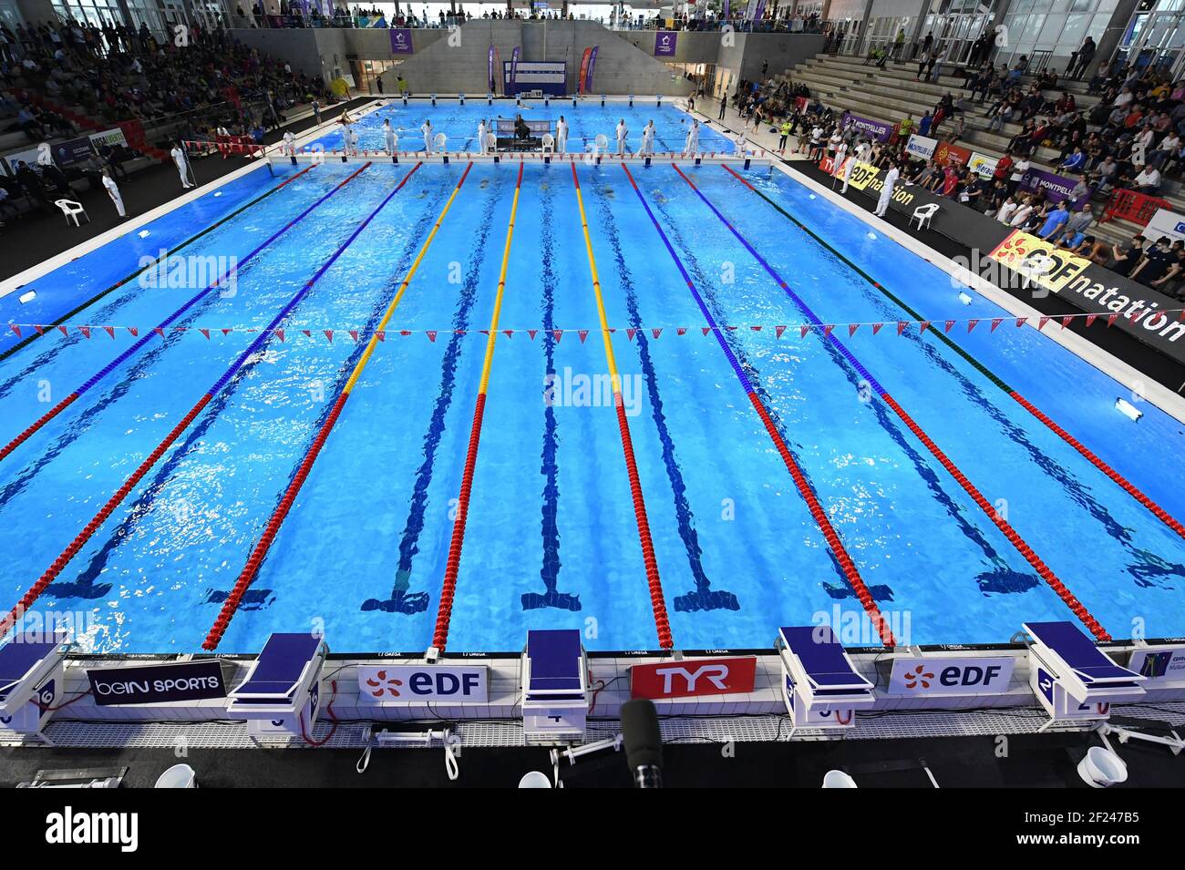 during the Swimming French Championships short course 2018, at Piscine  Olympique Antigone, in Montpellier, France, on November 15 to 18, 2018 -  Photo Stephane Kempinaire / KMSP / DPPI Stock Photo - Alamy